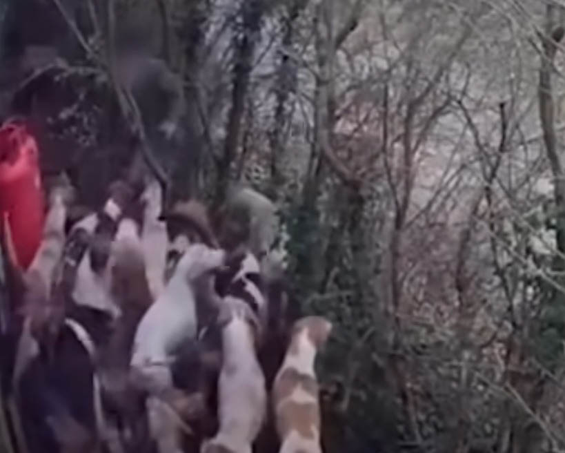 Kimblewick hunt is caught on CCTV